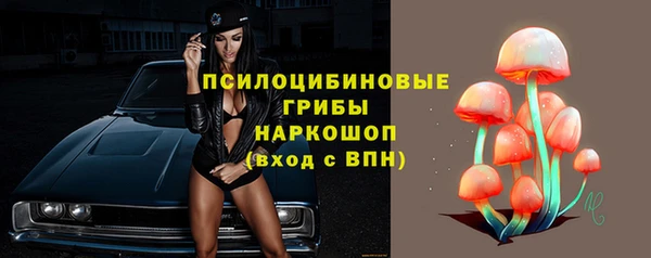 не бодяженный Аркадак